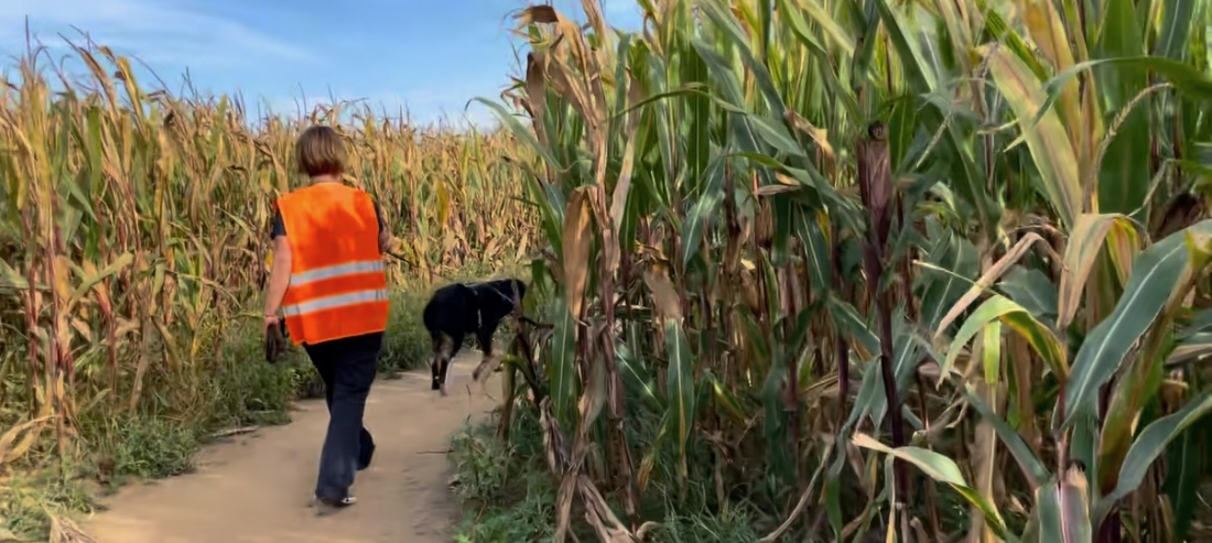 MT - Passion Trail - Verloren Im Maislabyrinth