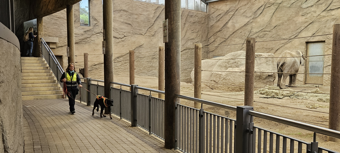 MT - Spezial: Opelzoo