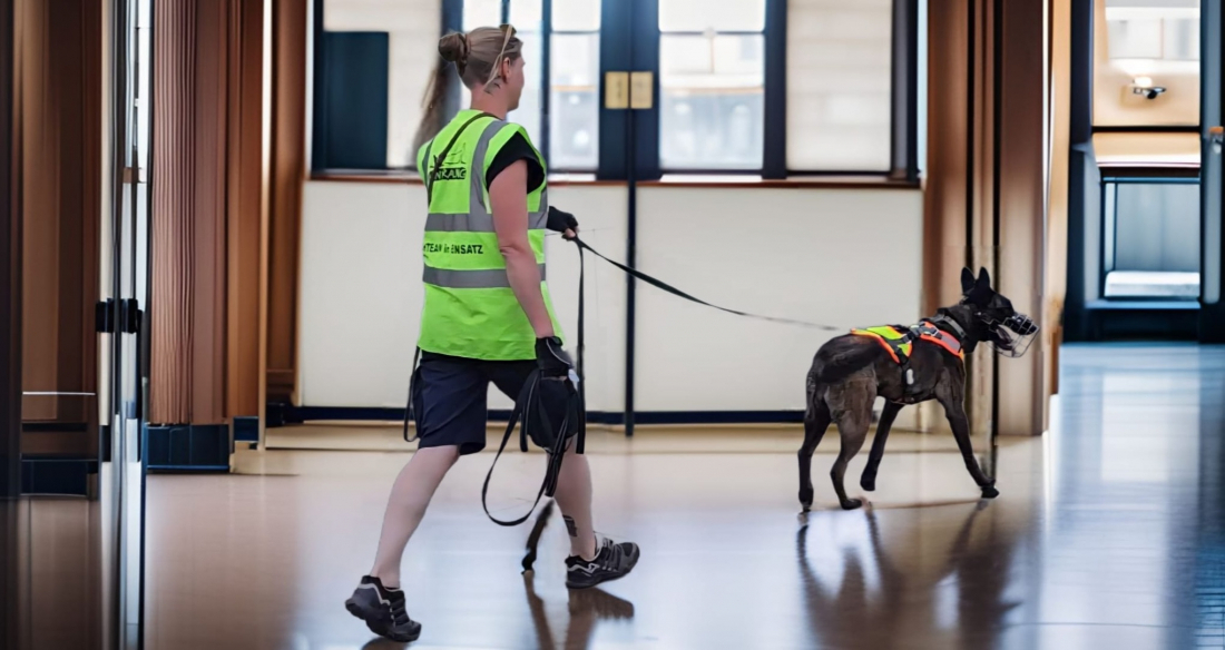 MT - Kreuzungsarbeit